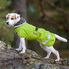 Pomppa Perus Vintertäcke Hund Grön (56 cm)