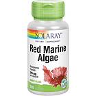 Solaray Red Marine Algae 100 kapslar