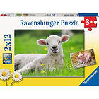 Ravensburger Pussel Bondgårdsdjur 2x12 Bitar