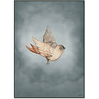 Mrs Mighetto Poster Dear Sparrow 50x70