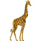 That's Mine Wallsticker Giraffe