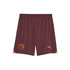 Puma Manchester City Fc 23/24 Shorts Lila XL