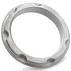 Miche Piste Pinion Silver 1v 17t