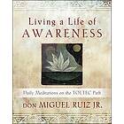 don Miguel Ruiz Jr: Living a Life of Awareness
