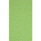 Harlequin Wiggle Peridot/Rose Quartz HSRW113064