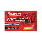 Enervit WP Recovery Drink