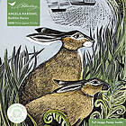 Jigsaw Adult Sustainable Puzzle Angela Harding: Rathlin Hares