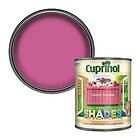 Cuprinol 5159074 GSSS1L Garden Shades Sweet Sundae 1 Litre