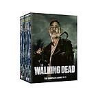 The Walking Dead Complete BOX Season 1-11 (DVD)