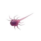 13 Fishing Coconut Crab Panfish Plastics 3 cm Purple Rain 6-pack