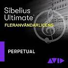 SIBELIUS Ultimate Fleranvändare st