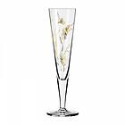 Ritzenhoff Goldnacht Champagneglas NO:7 20,5cl