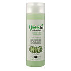 Yes To Cucumbers Color Care Shampoo 500ml