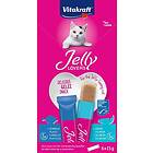 Vitakraft Jelly Lovers Salmon Lax/Spätta 15g x 6 st