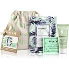 Payot Pâte Grise Kit Anti-Imperfections Gift Set female