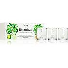 Aery Botanical Gift Set 3x80g