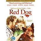 Red Dog (UK) (DVD)