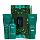 Aveda Botanical Repair in-Shower Strengthening Essentials Rich Set