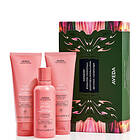 Aveda Nutriplenish Light Moisture in-Shower Essentials Set