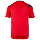 Nike Dri Fit Park Derby 3 Short Sleeve T-shirt Röd 13-15 Years Pojke