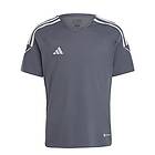 Adidas Tiro 23 Short Sleeve T-shirt Blå 15-16 Years Pojke