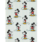 Sanderson Mickey Stripe Sea salt DDIW217271