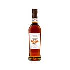 Nexus Salted Caramel Sirap 700ml