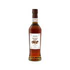 Nexus Roasted Hazelnut Sirap 700ml