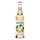 Monin Melon Sirap 700ml
