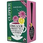 Clipper Organic Green Tea & Echinacea & Citrus 20 tepåsar