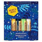 Burt's Bees wax Bounty Gift Set Assorted Mix