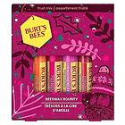 Burt's Bees wax Bounty Gift Set Fruit Mix