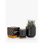 The Little Botanical Back to Black Candle Gift Set