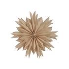 Athena Julstjärna 50cm Beige