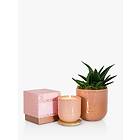 The Little Botanical Pink Cashmere Candle Gift Set