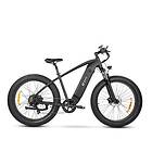 DYU King 750 (Electric)
