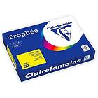 Clairefontaine Kopipapir TROPHEE A4 80g sennepgul (500)