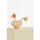 Pastill Ruth vas liten Glansig beige 24,5 18,5