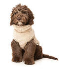 Fuzzyard Turtle Teddy Hundtröja Beige (3)