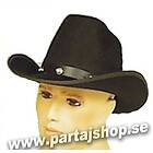 Western rodeo hatt