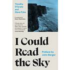 I Could Read the Sky