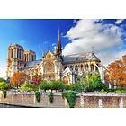 Bluebird Pussel B.Kinney: Cathédrale Notre-Dame de Paris 2000 bitar
