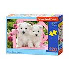 Castorland Pussel White Terrier Valpar, 120 Bitar