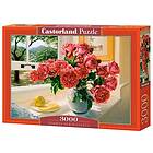 Castorland Pussel Sommarminnen 3000 bitar