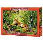 Castorland Pussel Hans majestät, Tigern 500 bitar