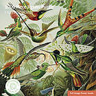 Jigsaw Adult Sustainable Puzzle V&A: Humming Birds
