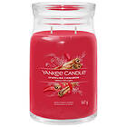 Yankee Candle Bougies Parfumées Signature Sparkling Cinnamon Stor