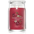 Yankee Candle Red Raspberry Large Jar 2 Wick Bougies Parfumées 567g