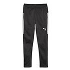 Puma Träningsbyxor individualWINTERIZED (Herr)