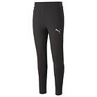 Puma Sweatpants Evostripe (Herre)